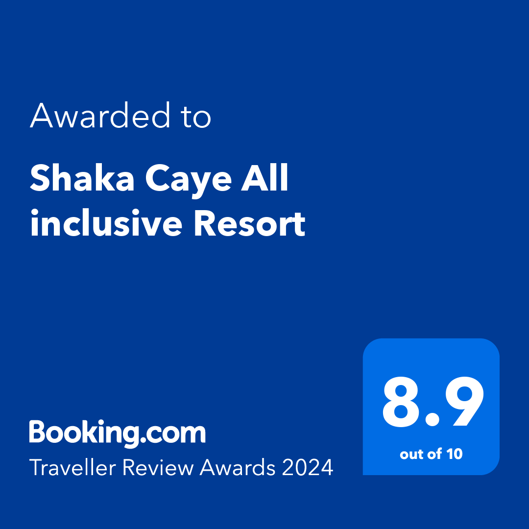 Booking.com Traveller Review Award 2024