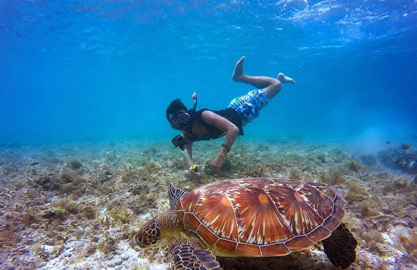 Belize all-inclusive package - snorkeling