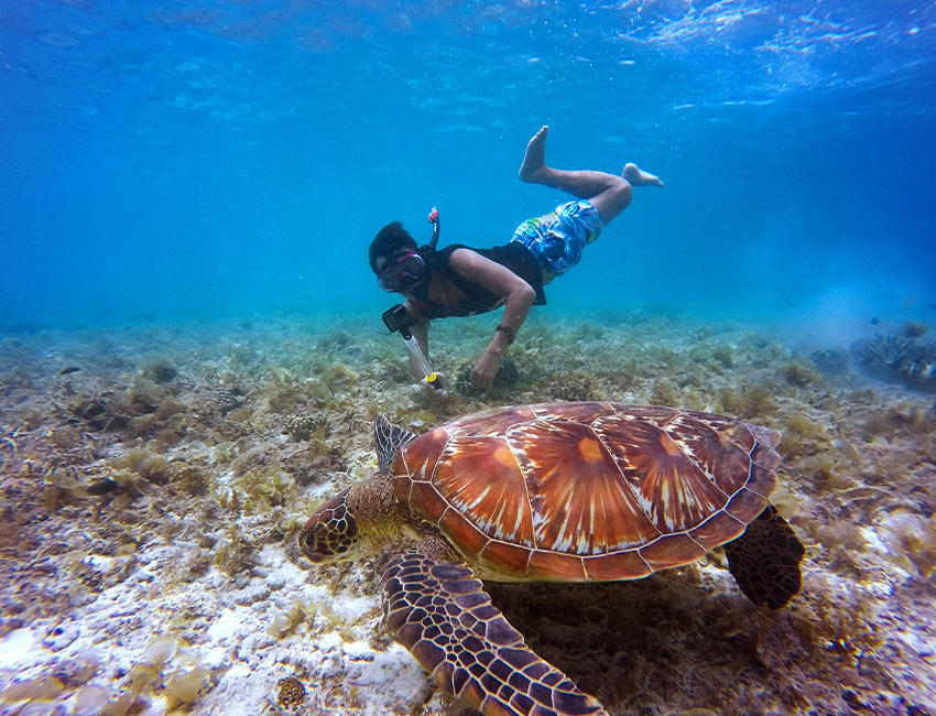 Belize snorkeling tours