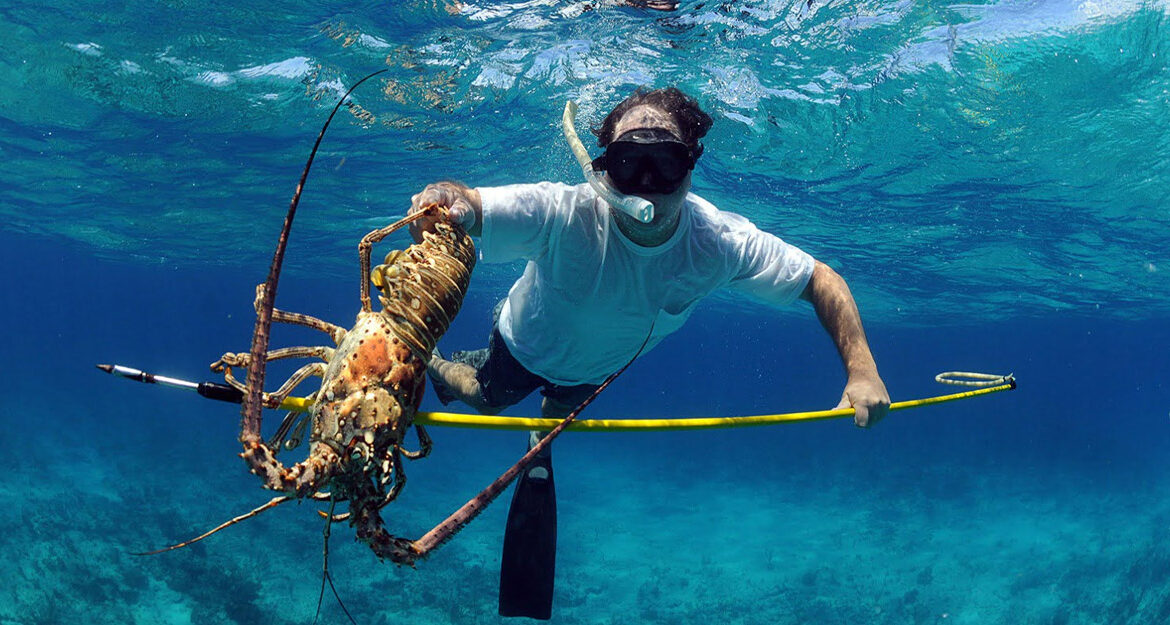 belize lobster season