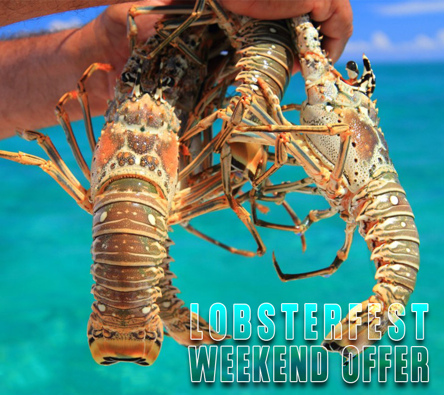 belize lobsterfest