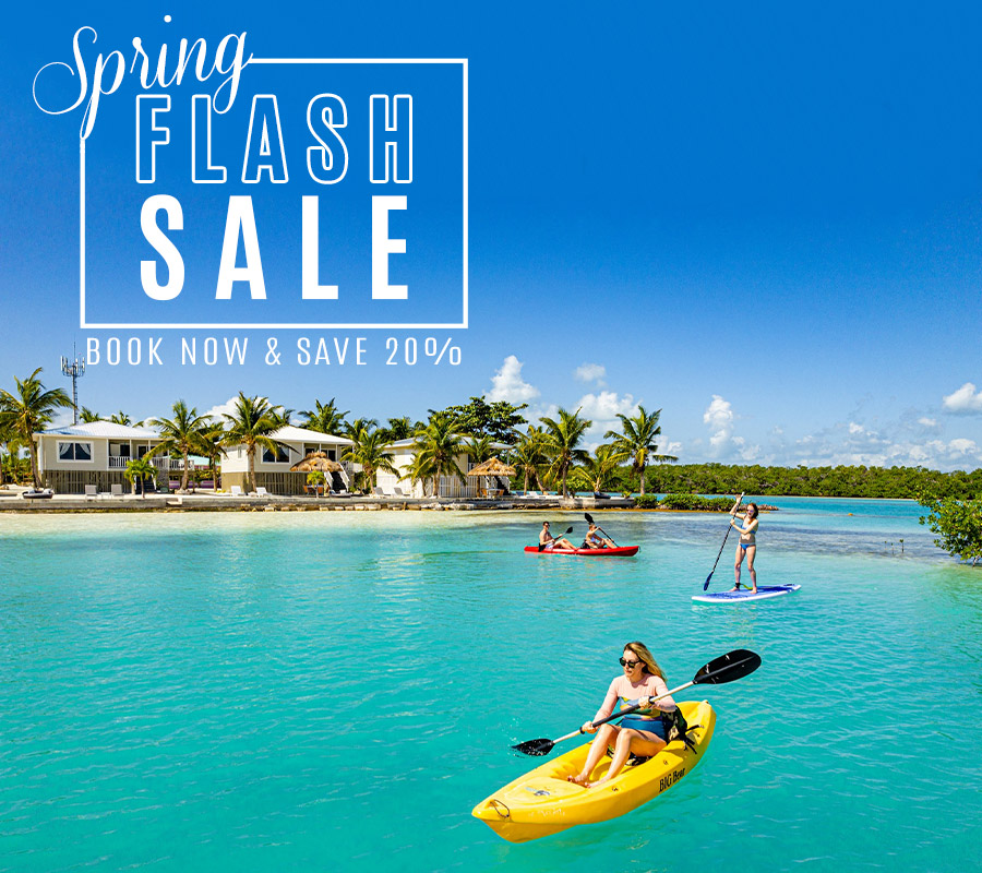 belize spring deal