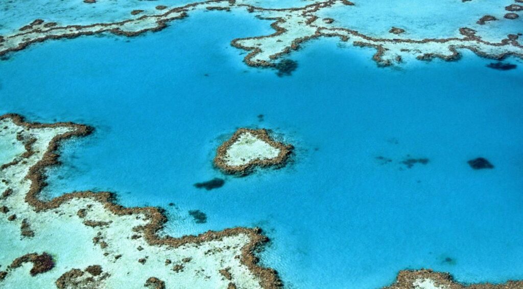 Aerial view of Caribbean reef near Shaka Caye private island helicopter transfer route, Belize